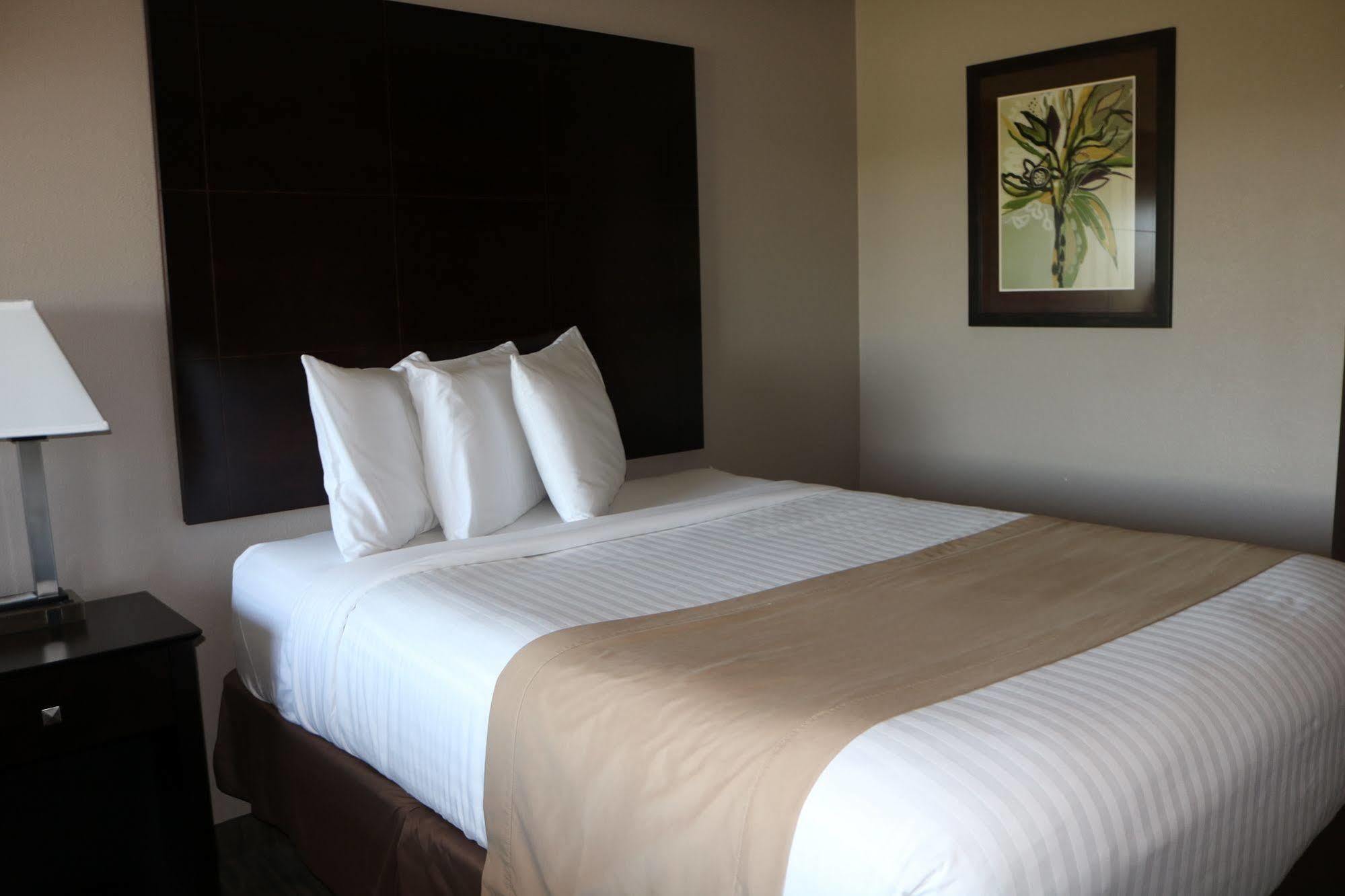 Qube Hotel - Polk City Zewnętrze zdjęcie